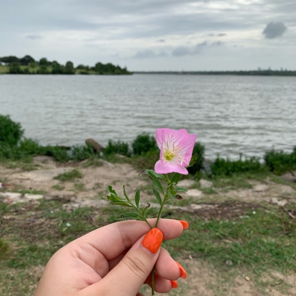 Meet your Posher, Elizabeth - Picture 1 of 1